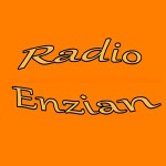 Радио Enzian